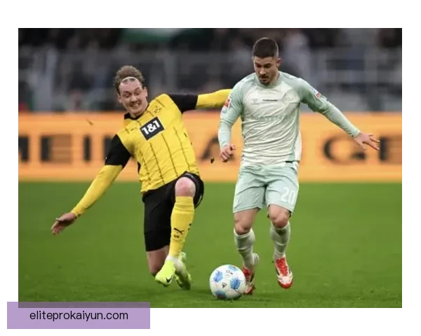 布兰特在本赛季的球队贡献持续提升，值得关注的状态让他成为关键球员。